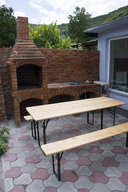 Clisura Dunarii - Danubian Border Berzasca Exterior photo